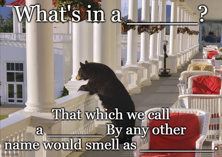 Balcony Bear | What's in a _____? That which we call a ______ By any other name would smell as ________. | image tagged in balcony bear | made w/ Imgflip meme maker
