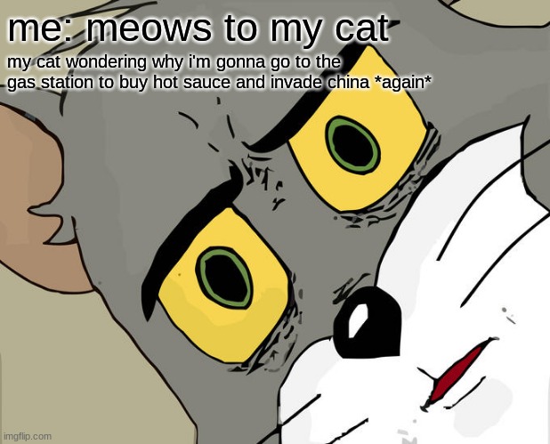 Unsettled Tom Meme | me: meows to my cat; my cat wondering why i'm gonna go to the gas station to buy hot sauce and invade china *again* | image tagged in memes,unsettled tom | made w/ Imgflip meme maker