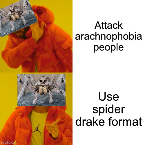 Drake Hotline Bling Meme | Attack arachnophobia people; Use spider drake format | image tagged in memes,drake hotline bling | made w/ Imgflip meme maker