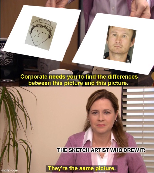 They're The Same Picture Meme | THE SKETCH ARTIST WHO DREW IT: | image tagged in memes,they're the same picture | made w/ Imgflip meme maker