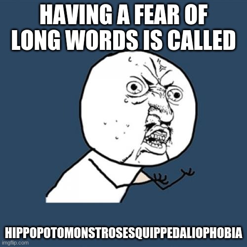 Hehe |  HAVING A FEAR OF LONG WORDS IS CALLED; HIPPOPOTOMONSTROSESQUIPPEDALIOPHOBIA | image tagged in memes,y u no | made w/ Imgflip meme maker