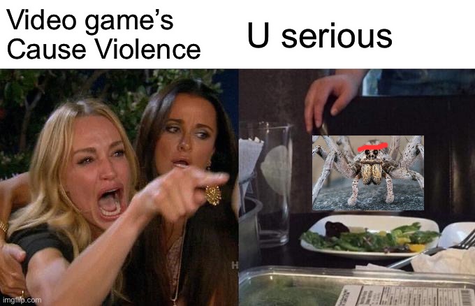 Pls stop | Video game’s Cause Violence; U serious | image tagged in memes,woman yelling at cat | made w/ Imgflip meme maker