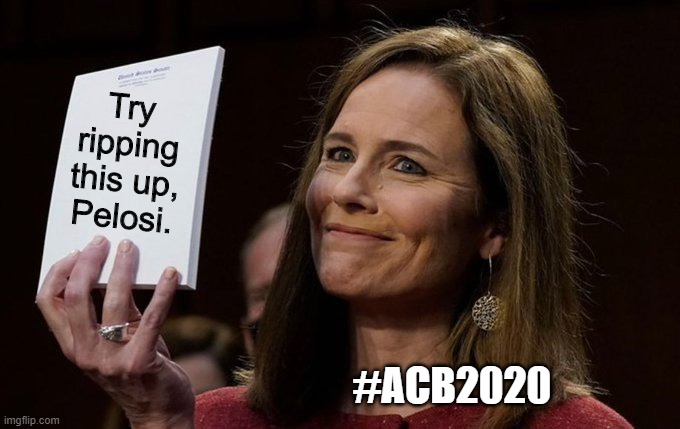 Amy Coney Barrett Notebook | Try ripping this up, Pelosi. #ACB2020 | image tagged in amy coney barrett notebook | made w/ Imgflip meme maker