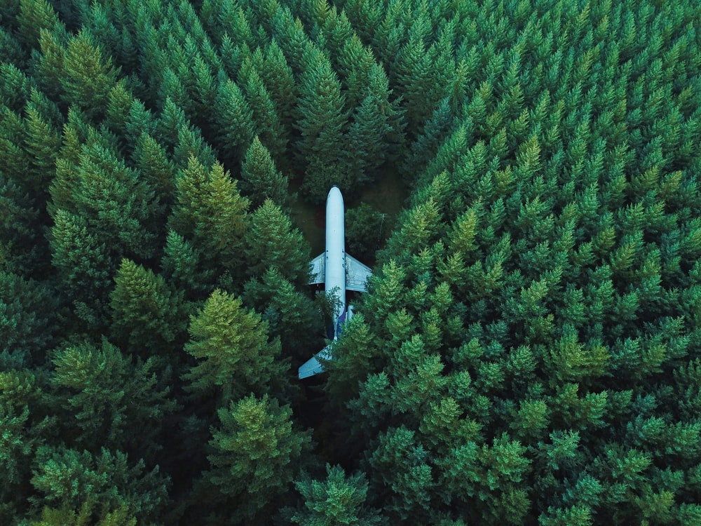 High Quality Forest Plane Blank Meme Template