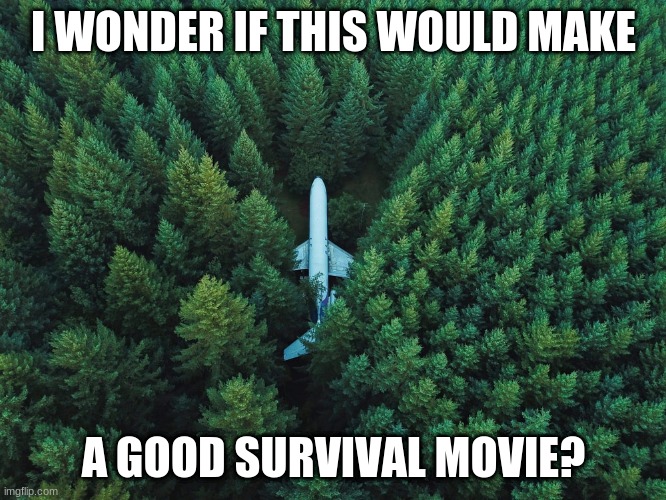 Maybe it would be called Forester? | I WONDER IF THIS WOULD MAKE; A GOOD SURVIVAL MOVIE? | image tagged in forest plane | made w/ Imgflip meme maker