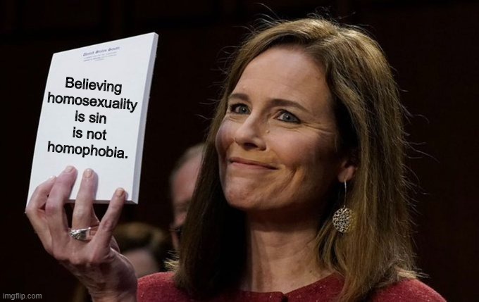 Amy Coney Barrett Notebook | Believing homosexuality is sin is not homophobia. | image tagged in amy coney barrett notebook | made w/ Imgflip meme maker