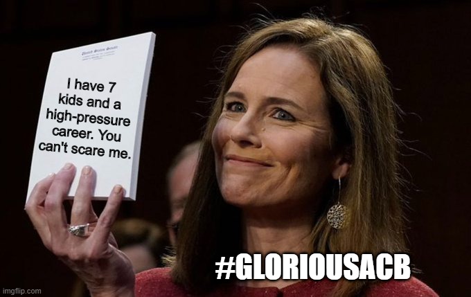 Amy Coney Barrett Notebook | I have 7 kids and a high-pressure career. You can't scare me. #GLORIOUSACB | image tagged in amy coney barrett notebook | made w/ Imgflip meme maker