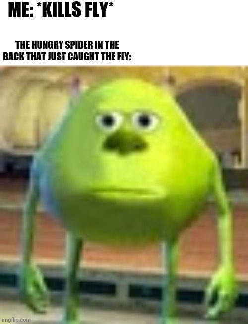 Sully Wazowski | ME: *KILLS FLY*; THE HUNGRY SPIDER IN THE BACK THAT JUST CAUGHT THE FLY: | image tagged in sully wazowski | made w/ Imgflip meme maker