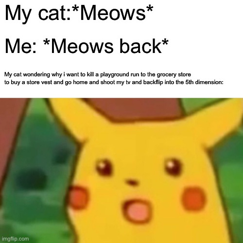 Surprised Pikachu | My cat:*Meows*; Me: *Meows back*; My cat wondering why i want to kill a playground run to the grocery store to buy a store vest and go home and shoot my tv and backflip into the 5th dimension: | image tagged in memes,surprised pikachu | made w/ Imgflip meme maker