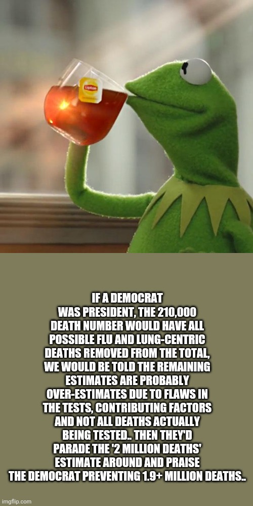 But That's None Of My Business | IF A DEMOCRAT WAS PRESIDENT, THE 210,000 DEATH NUMBER WOULD HAVE ALL POSSIBLE FLU AND LUNG-CENTRIC DEATHS REMOVED FROM THE TOTAL, WE WOULD BE TOLD THE REMAINING ESTIMATES ARE PROBABLY OVER-ESTIMATES DUE TO FLAWS IN THE TESTS, CONTRIBUTING FACTORS AND NOT ALL DEATHS ACTUALLY BEING TESTED.. THEN THEY'D PARADE THE '2 MILLION DEATHS' ESTIMATE AROUND AND PRAISE THE DEMOCRAT PREVENTING 1.9+ MILLION DEATHS.. | image tagged in memes,but that's none of my business,kermit the frog | made w/ Imgflip meme maker