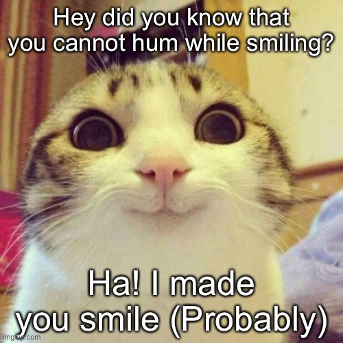 Smile! | Hey did you know that you cannot hum while smiling? Ha! I made you smile (Probably) | image tagged in memes,smiling cat | made w/ Imgflip meme maker
