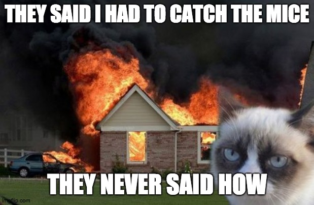 Burn Kitty | THEY SAID I HAD TO CATCH THE MICE; THEY NEVER SAID HOW | image tagged in memes,burn kitty,grumpy cat | made w/ Imgflip meme maker