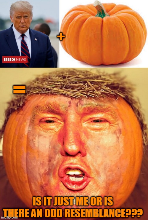 Just another trumpkin meme #2 | +; =; IS IT JUST ME OR IS THERE AN ODD RESEMBLANCE??? | image tagged in trumpkin,trump,pumkin,oronge,donald trump,holloween | made w/ Imgflip meme maker