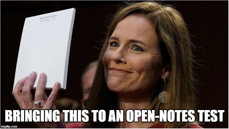 what is courage? | BRINGING THIS TO AN OPEN-NOTES TEST | image tagged in amy coney barrett blank notepad,supreme court,confirmation,senate,election,2020 | made w/ Imgflip meme maker