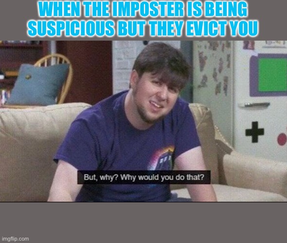 But why why would you do that? | WHEN THE IMPOSTER IS BEING SUSPICIOUS BUT THEY EVICT YOU | image tagged in but why why would you do that | made w/ Imgflip meme maker