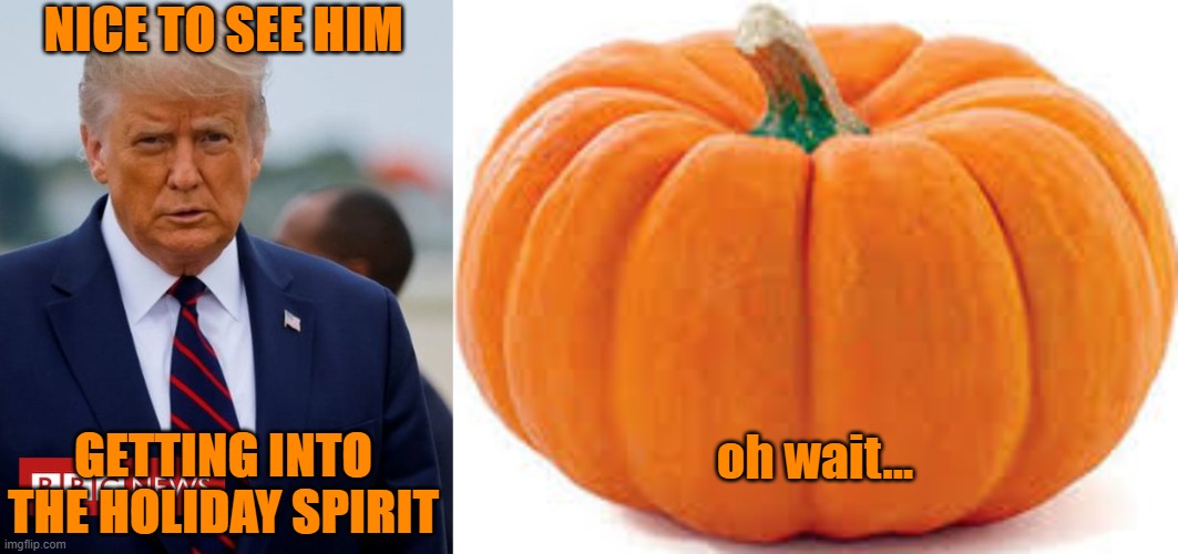 Just another trumpkin meme | NICE TO SEE HIM; oh wait... GETTING INTO THE HOLIDAY SPIRIT | image tagged in donald trump,trump,pumkin,orange,holloween | made w/ Imgflip meme maker