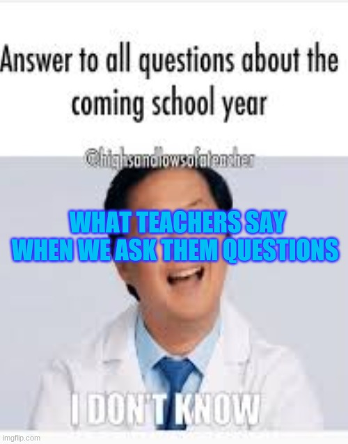 what teachers say when we ask them questions | WHAT TEACHERS SAY WHEN WE ASK THEM QUESTIONS | image tagged in funny meme | made w/ Imgflip meme maker