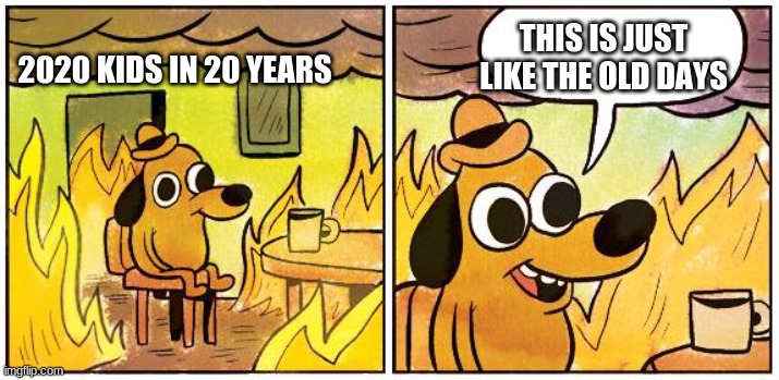 This is Fine (Blank) | THIS IS JUST LIKE THE OLD DAYS; 2020 KIDS IN 20 YEARS | image tagged in this is fine blank | made w/ Imgflip meme maker