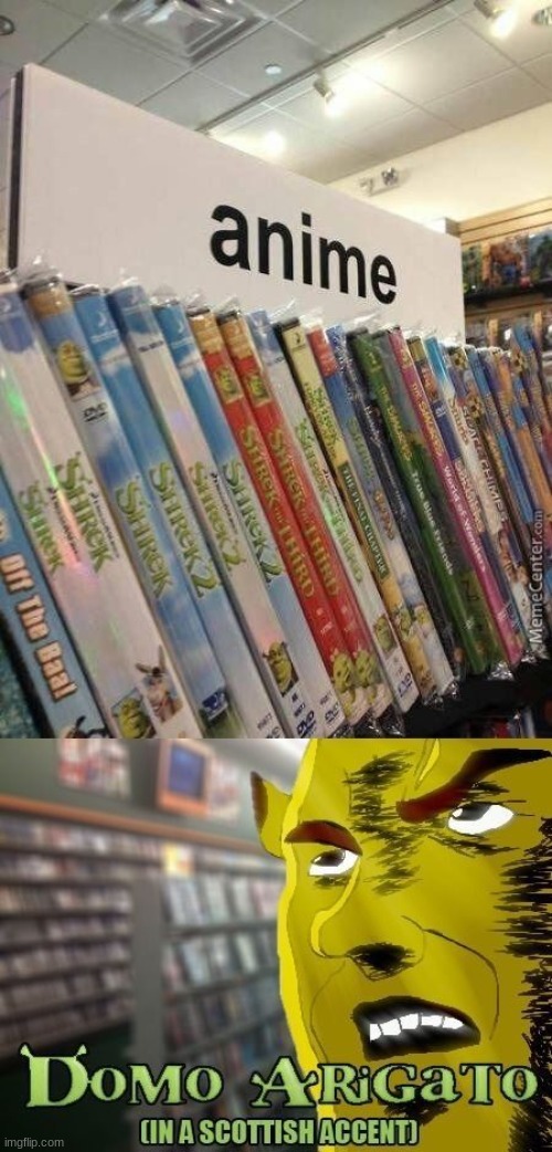 Shrek is my favorite anime! | image tagged in shrek,thebestmememakerever | made w/ Imgflip meme maker