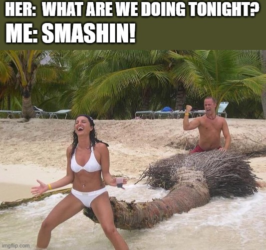 HER:  WHAT ARE WE DOING TONIGHT? ME: SMASHIN! | image tagged in fun | made w/ Imgflip meme maker