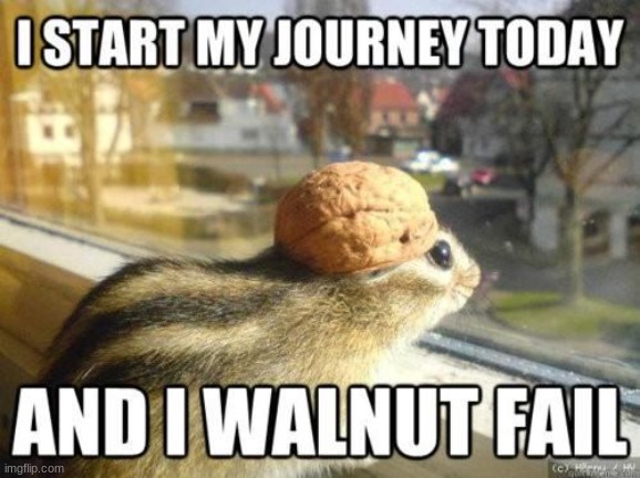 I WALNUT FAIL YOU! | image tagged in chipmunk,travel | made w/ Imgflip meme maker