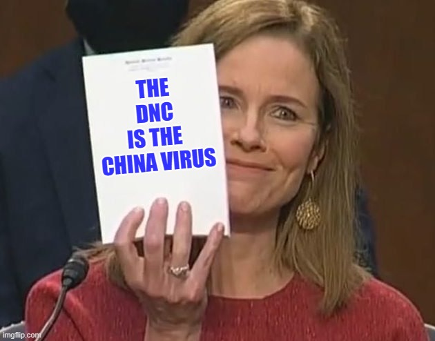 ACB notepad "The DNC is the China Virus" | THE
 DNC 
IS THE 
CHINA VIRUS | image tagged in notorious acb | made w/ Imgflip meme maker