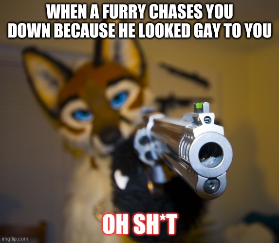 Furry with gun | WHEN A FURRY CHASES YOU DOWN BECAUSE HE LOOKED GAY TO YOU; OH SH*T | image tagged in furry with gun | made w/ Imgflip meme maker