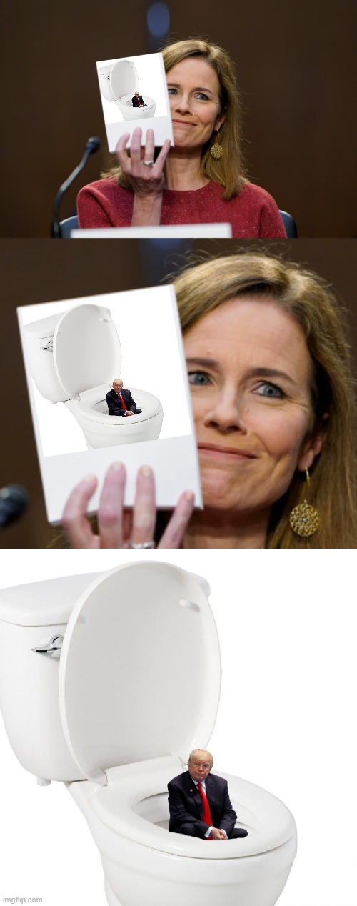This is how 2020 is going... | image tagged in trump,dumptrump,toilet,2020,supreme court,donald trump | made w/ Imgflip meme maker