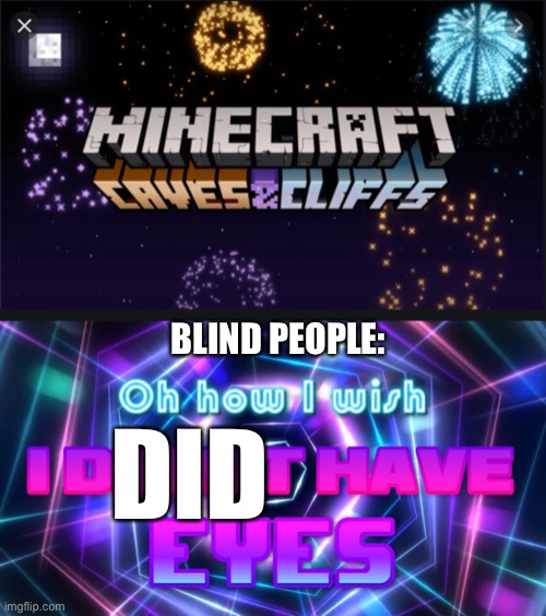 They need to see this | BLIND PEOPLE:; DID | image tagged in meme | made w/ Imgflip meme maker
