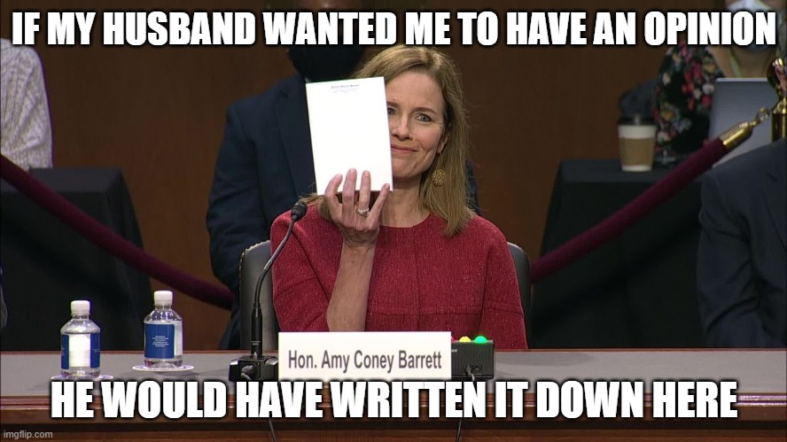 IF MY HUSBAND WANTED ME TO HAVE AN OPINION; HE WOULD HAVE WRITTEN IT DOWN HERE | image tagged in amy coathanger barret,supreme court,notepad,blank nut button | made w/ Imgflip meme maker