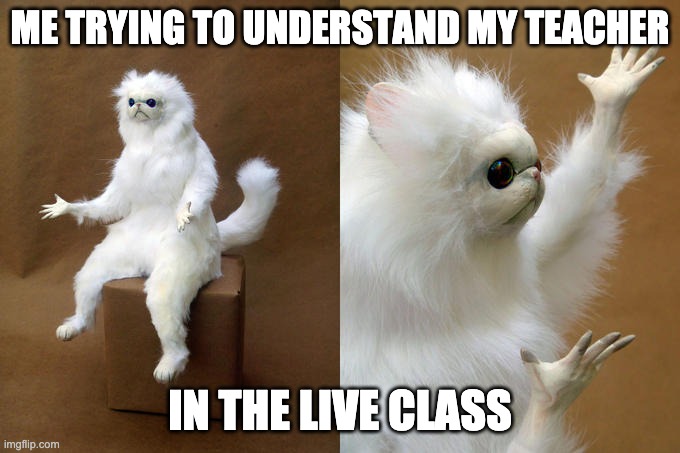 Persian Cat Room Guardian Meme | ME TRYING TO UNDERSTAND MY TEACHER; IN THE LIVE CLASS | image tagged in memes,persian cat room guardian | made w/ Imgflip meme maker