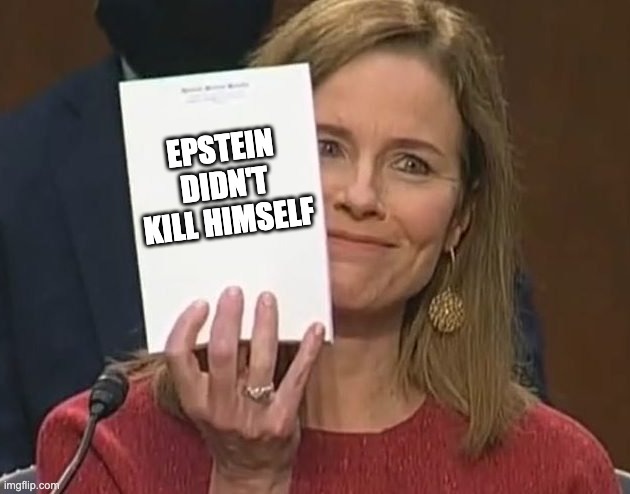 EPSTEIN DIDN'T KILL HIMSELF | EPSTEIN DIDN'T KILL HIMSELF | image tagged in notorious acb,jeffrey epstein,letsgetwordy,acb | made w/ Imgflip meme maker