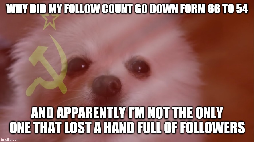 WHY DID MY FOLLOW COUNT GO DOWN FORM 66 TO 54; AND APPARENTLY I'M NOT THE ONLY ONE THAT LOST A HAND FULL OF FOLLOWERS | made w/ Imgflip meme maker