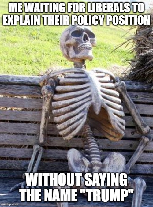 Waiting Skeleton | ME WAITING FOR LIBERALS TO EXPLAIN THEIR POLICY POSITION; WITHOUT SAYING THE NAME "TRUMP" | image tagged in memes,waiting skeleton | made w/ Imgflip meme maker