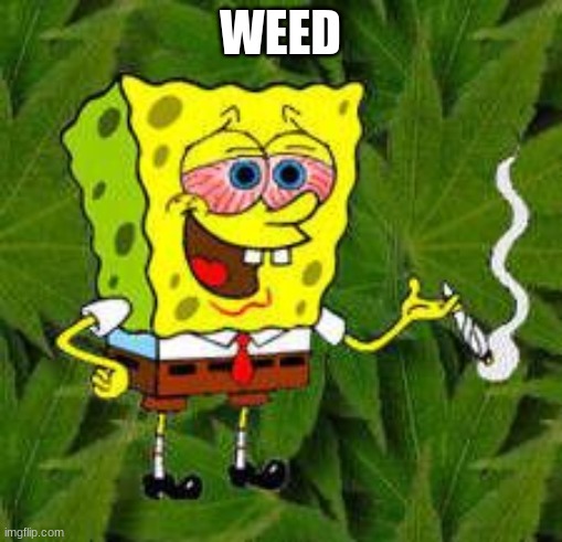 Weed | WEED | image tagged in weed | made w/ Imgflip meme maker