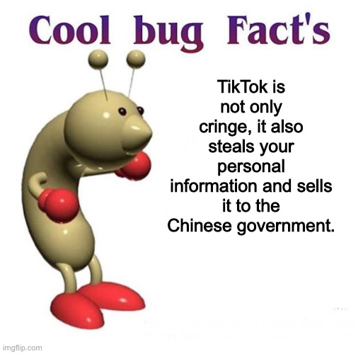 its true tho |  TikTok is not only cringe, it also steals your personal information and sells it to the Chinese government. | image tagged in cool bug facts,memes,funny,anti tik tok | made w/ Imgflip meme maker
