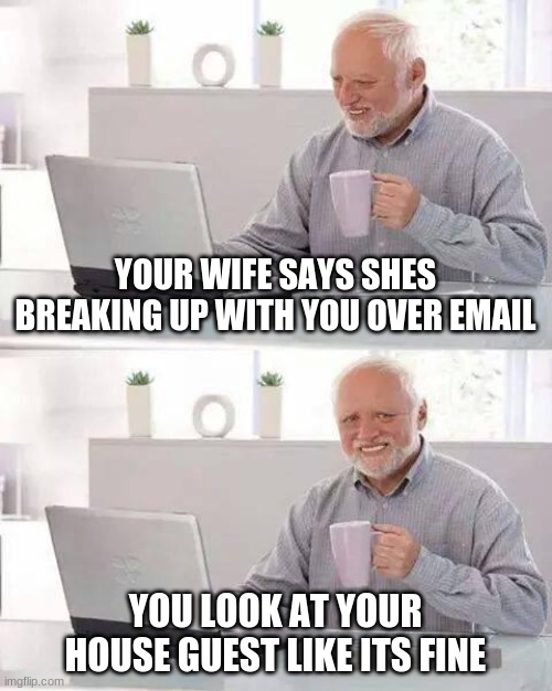 Hide the Pain Harold Meme | YOUR WIFE SAYS SHES BREAKING UP WITH YOU OVER EMAIL; YOU LOOK AT YOUR HOUSE GUEST LIKE ITS FINE | image tagged in memes,hide the pain harold | made w/ Imgflip meme maker