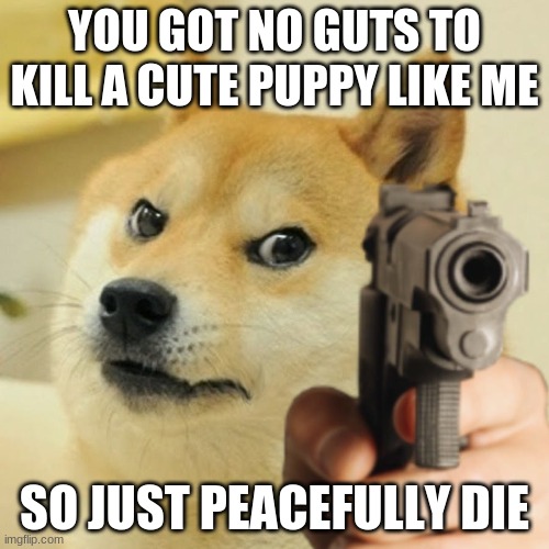 Doge holding a gun | YOU GOT NO GUTS TO KILL A CUTE PUPPY LIKE ME; SO JUST PEACEFULLY DIE | image tagged in doge holding a gun | made w/ Imgflip meme maker