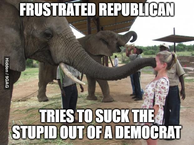 you no talk | FRUSTRATED REPUBLICAN; TRIES TO SUCK THE STUPID OUT OF A DEMOCRAT | image tagged in you no talk | made w/ Imgflip meme maker