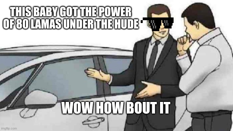 Car Salesman Slaps Roof Of Car Meme | THIS BABY GOT THE POWER OF 80 LAMAS UNDER THE HUDE; WOW HOW BOUT IT | image tagged in memes,car salesman slaps roof of car | made w/ Imgflip meme maker