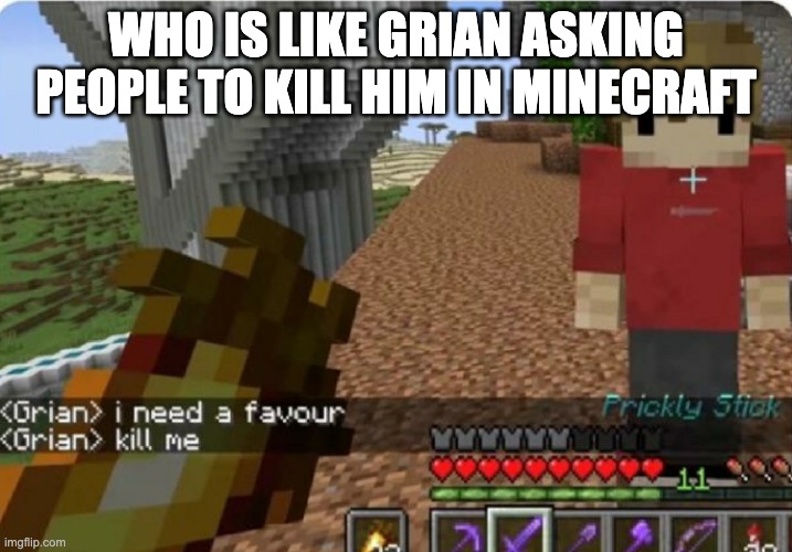 grian kill me | WHO IS LIKE GRIAN ASKING PEOPLE TO KILL HIM IN MINECRAFT | image tagged in grian kill me | made w/ Imgflip meme maker