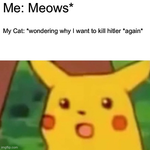 *again* | Me: Meows*; My Cat: *wondering why I want to kill hitler *again* | image tagged in memes,surprised pikachu | made w/ Imgflip meme maker