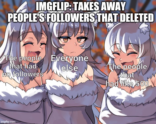 Anime laughing wolf meme | IMGFLIP: TAKES AWAY PEOPLE'S FOLLOWERS THAT DELETED; Everyone else; The people that had no followers; The people that had like 500 | image tagged in anime laughing wolf meme | made w/ Imgflip meme maker