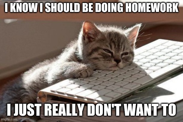 If I were a cat this would be me | I KNOW I SHOULD BE DOING HOMEWORK; I JUST REALLY DON'T WANT TO | image tagged in sleepy kitten,homework | made w/ Imgflip meme maker