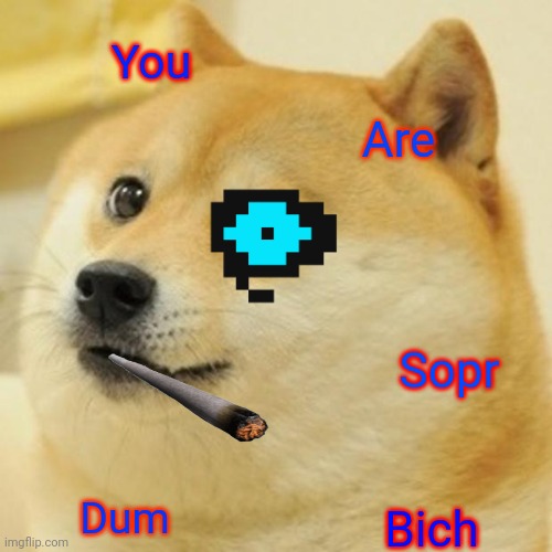 Doge Meme | You; Are; Sopr; Dum; Bich | image tagged in memes,doge | made w/ Imgflip meme maker