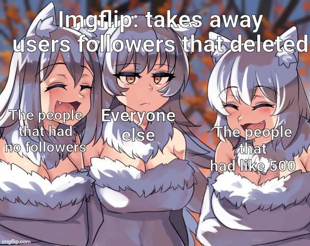Anime laughing wolf meme | Imgflip: takes away users followers that deleted; Everyone else; The people that had no followers; The people that had like 500 | image tagged in anime laughing wolf meme | made w/ Imgflip meme maker