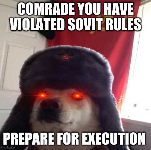 Russian Doge | COMRADE YOU HAVE VIOLATED SOVIT RULES; PREPARE FOR EXECUTION | image tagged in russian doge | made w/ Imgflip meme maker