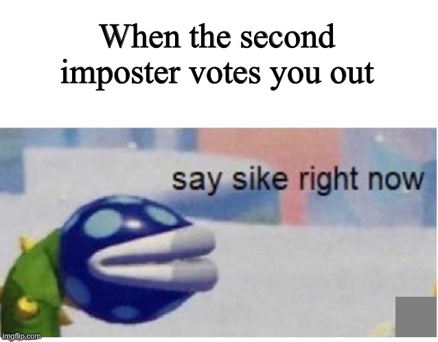 say sike right now |  When the second imposter votes you out | image tagged in say sike right now,among us,funny memes,why | made w/ Imgflip meme maker