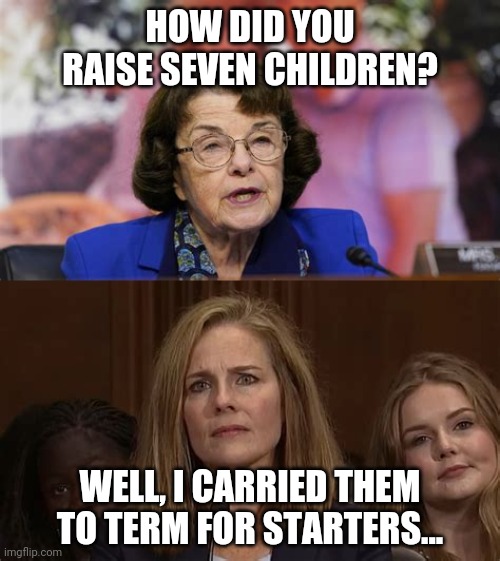 details | HOW DID YOU RAISE SEVEN CHILDREN? WELL, I CARRIED THEM TO TERM FOR STARTERS... | image tagged in dianne feinstein | made w/ Imgflip meme maker