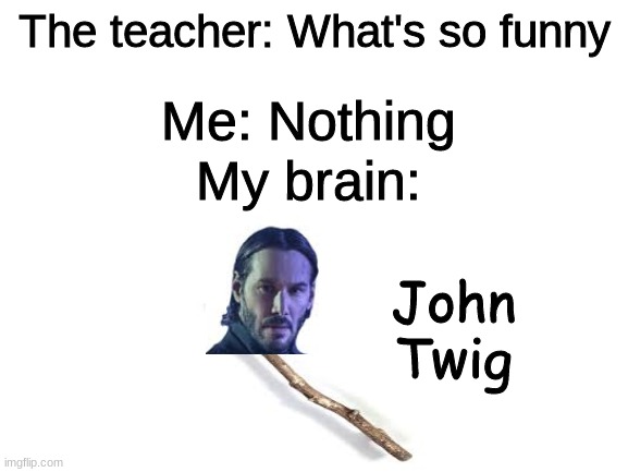JOHN TWIG | The teacher: What's so funny; Me: Nothing; My brain:; John Twig | image tagged in blank white template,john wick,twig | made w/ Imgflip meme maker